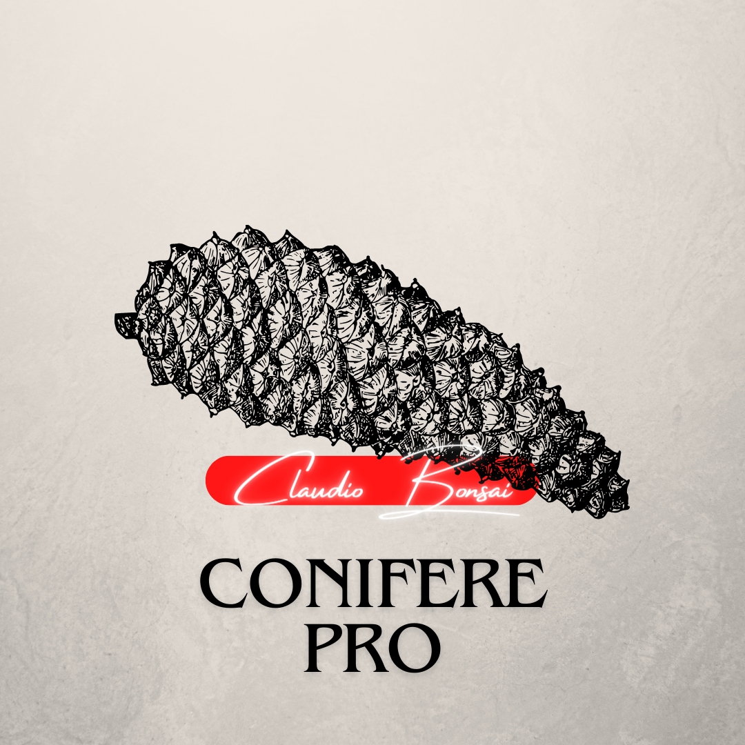 SUBSTRATO PROFESSIONALE PER CONIFERE CB®