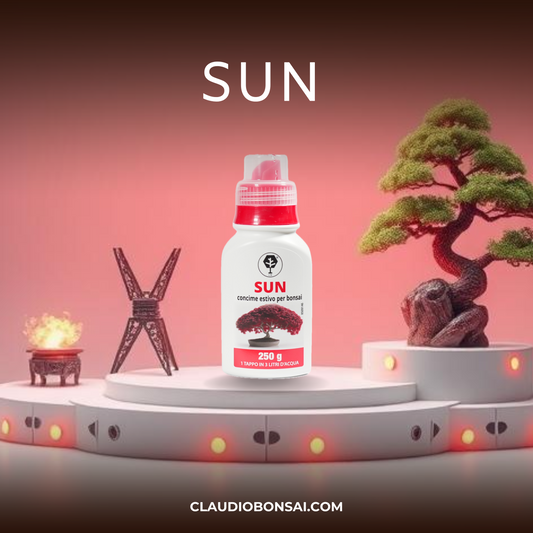 SUN CB® (Nutrimento Estivo)