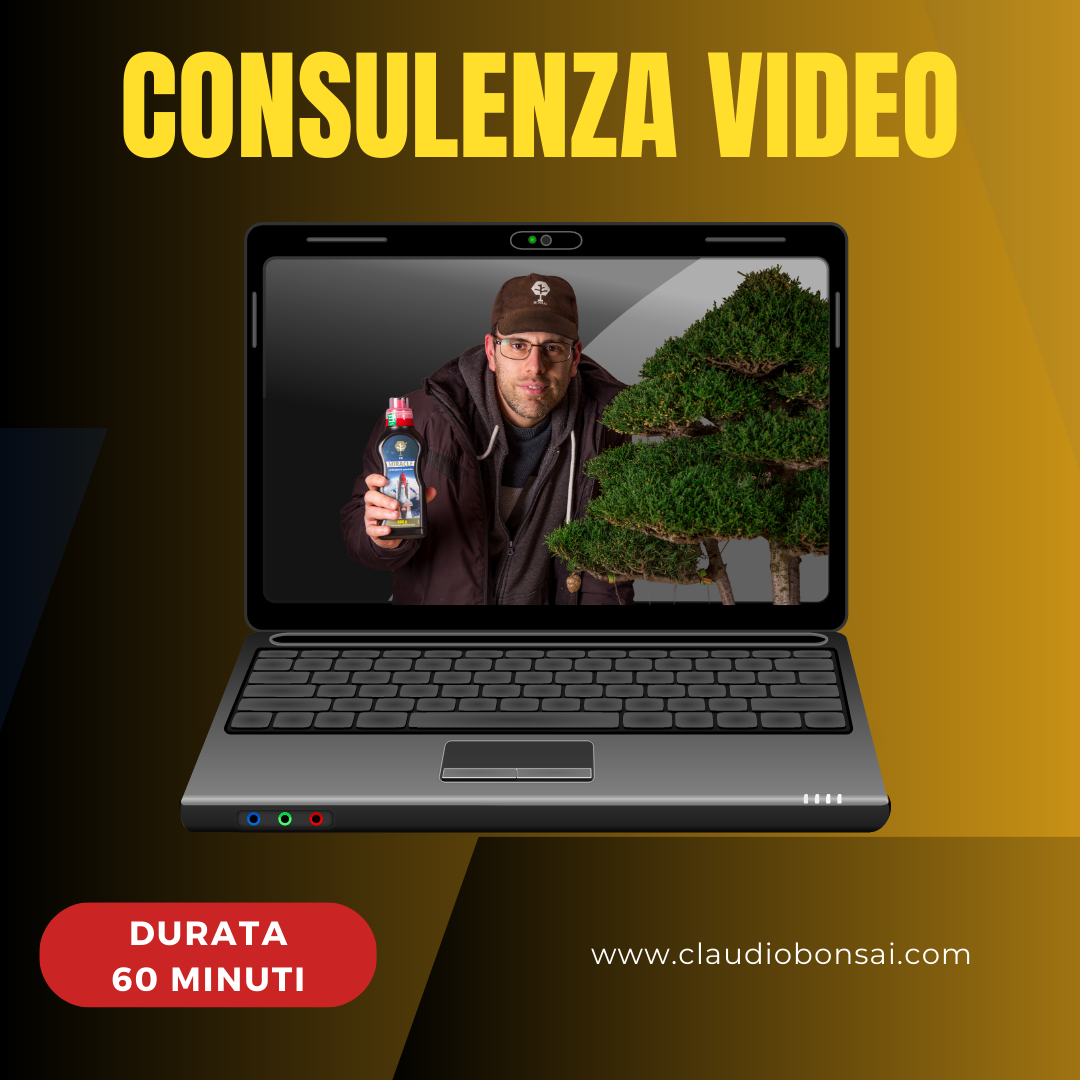 CONSULENZA VIDEO CB®