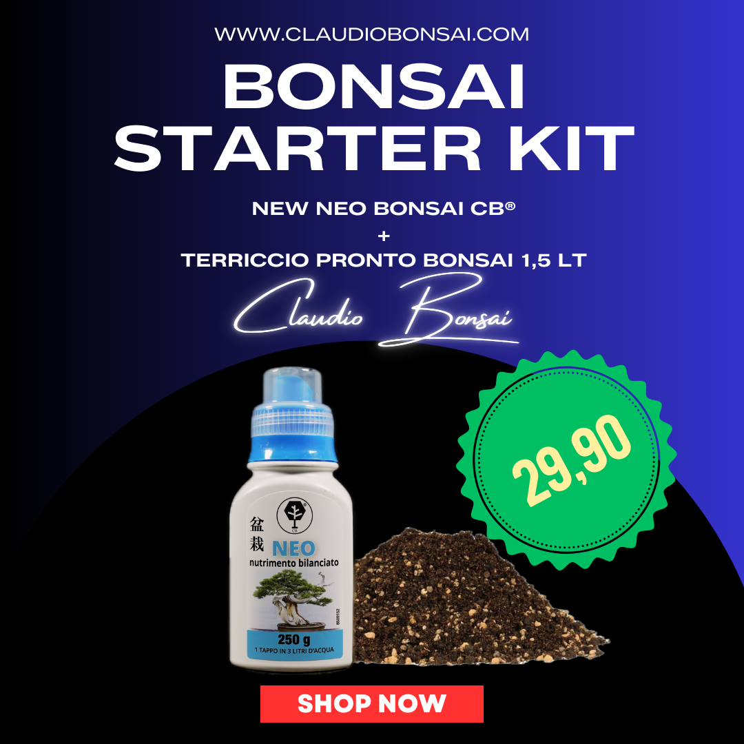 BONSAI STARTER KIT CB®