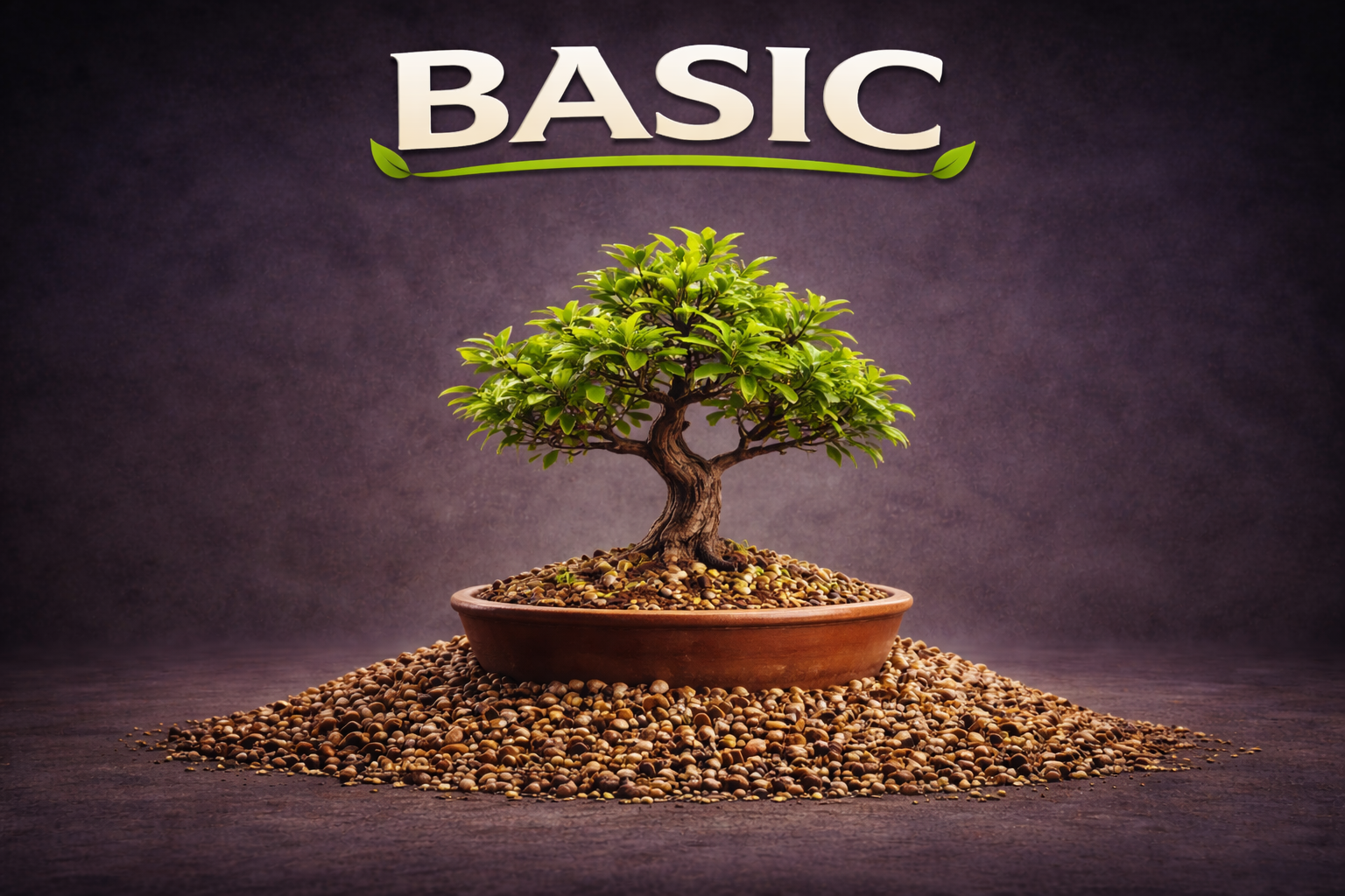 terriccio bonsai BASIC CB® TERRICCIO SUBSTRATO PER BONSAI ENTRY LEVEL – CLAUDIO CASADEI