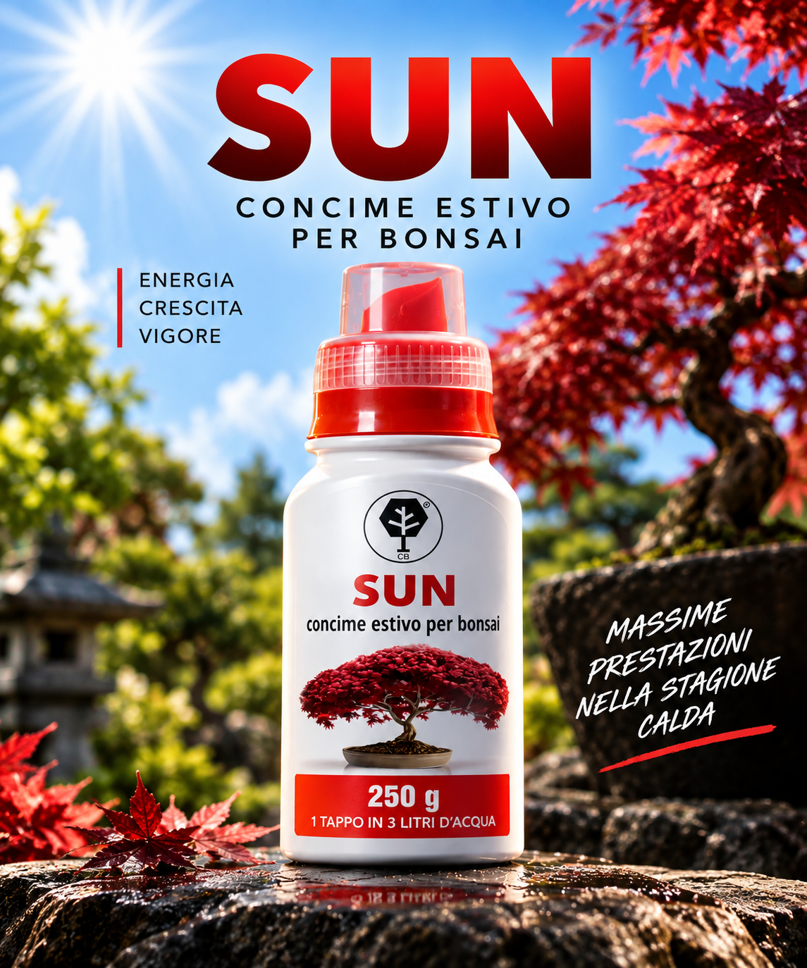 SUN CONCIME ESTIVO BONSAI CB®