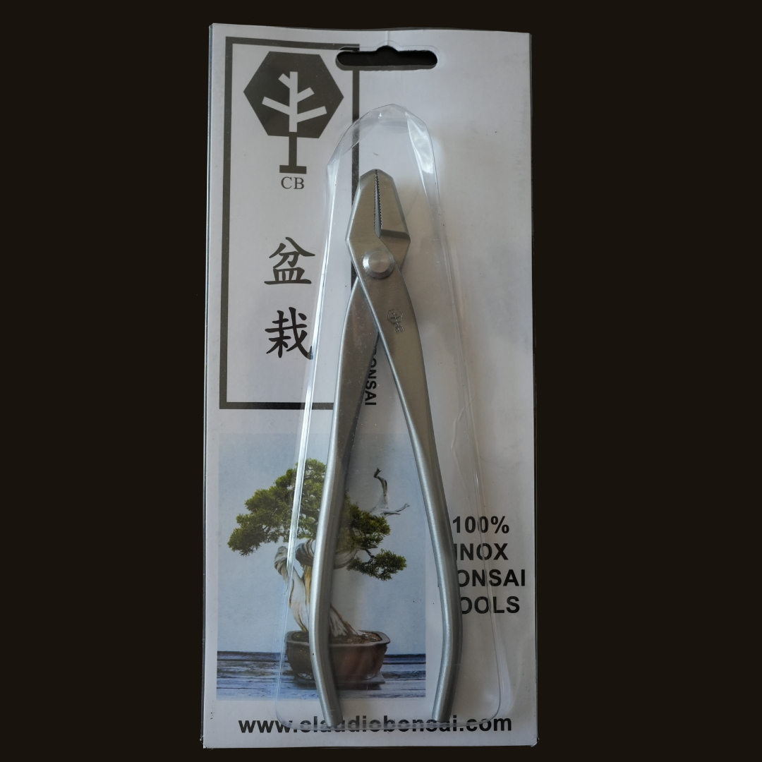 PINZA JIN PROFESSIONALE CB® INOX 18 cm