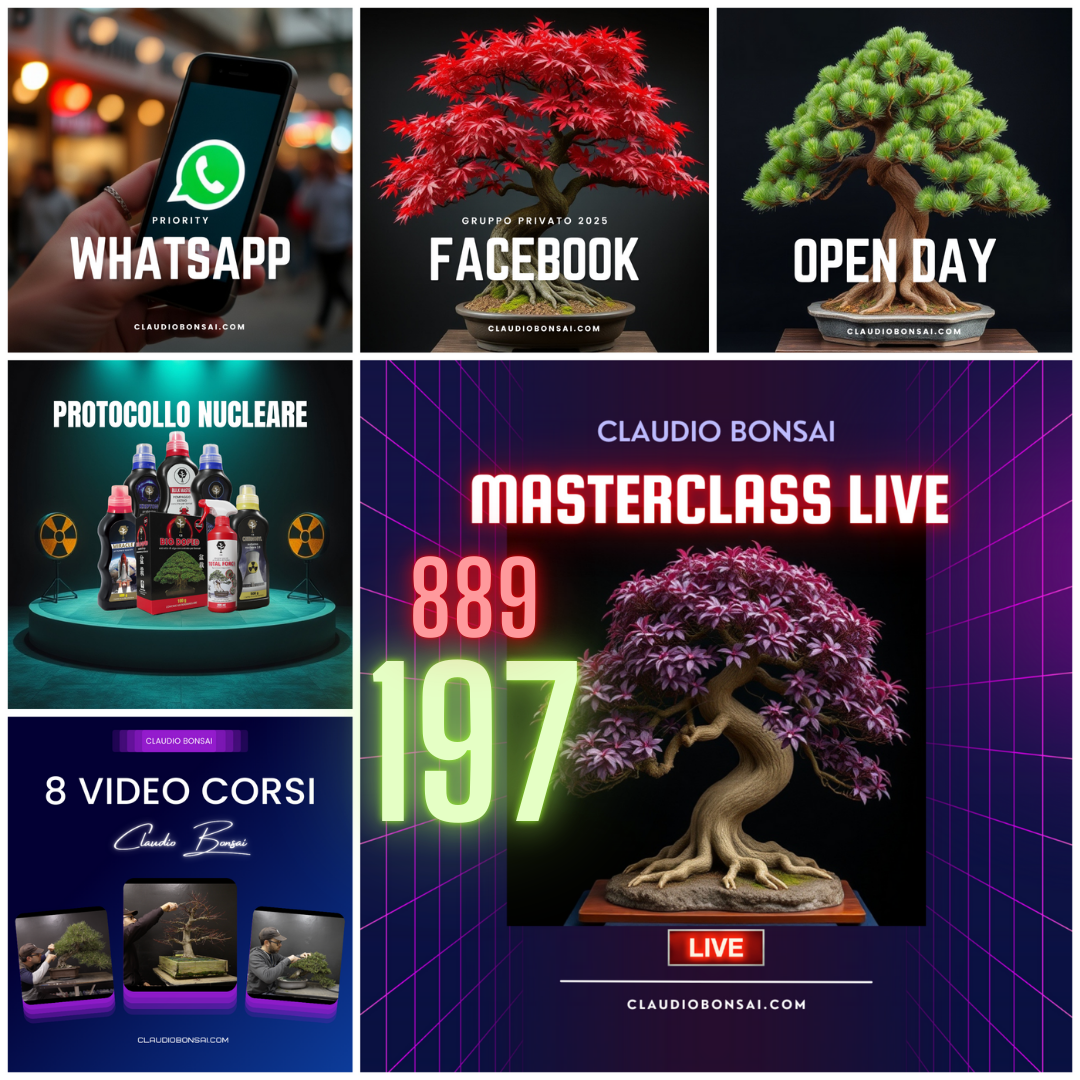 MASTERCLASS PACK 2026