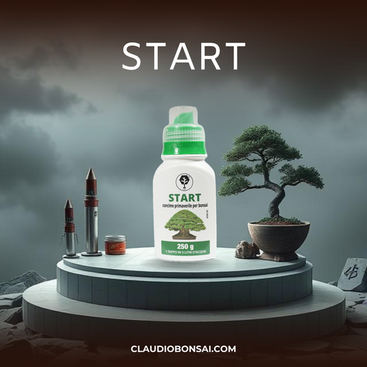 START CB® (partenza primaverile)