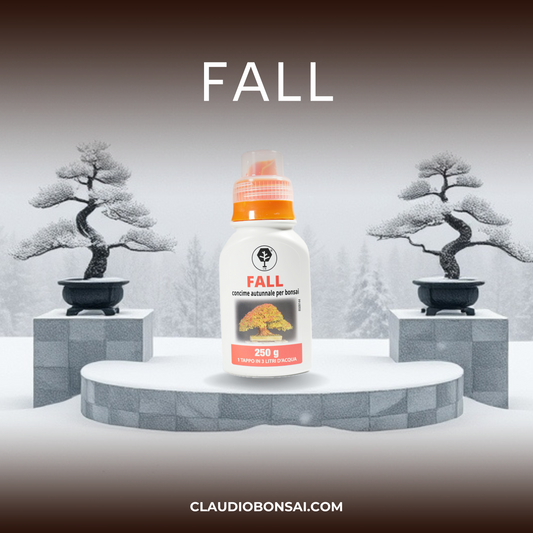 FALL CB® (Autunno e Inverno)