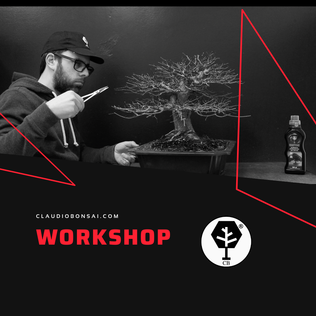 WORKSHOP CB®