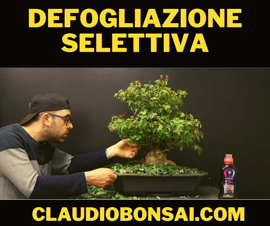 DEFOGLIAZIONE SELETTIVA CB®