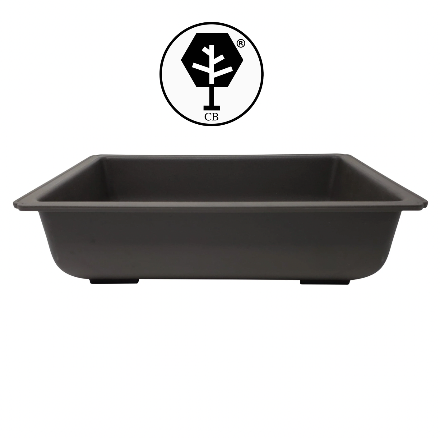 VASI BONSAI PLASTICA RIGIDA PROFESSIONALI