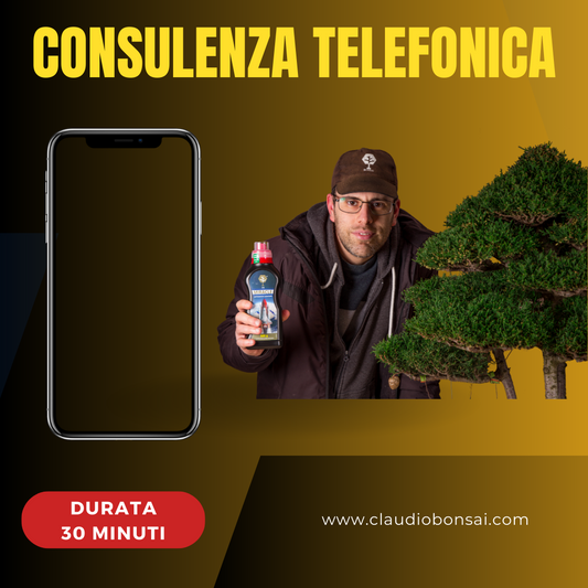 CONSULENZA TELEFONICA CB®