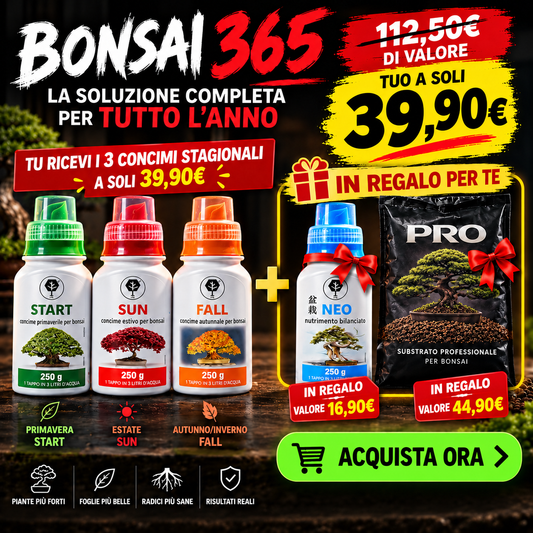 BONSAI 365