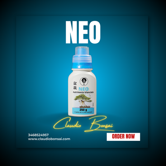 NEO CB®