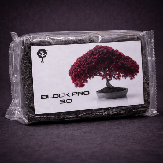 BLOCK PRO 3.0 CB® MASTICE PROFESSIONALE PER BONSAI 400 gr
