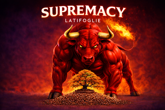 SUPREMACY CB® (substrato premium ad alte prestazioni)