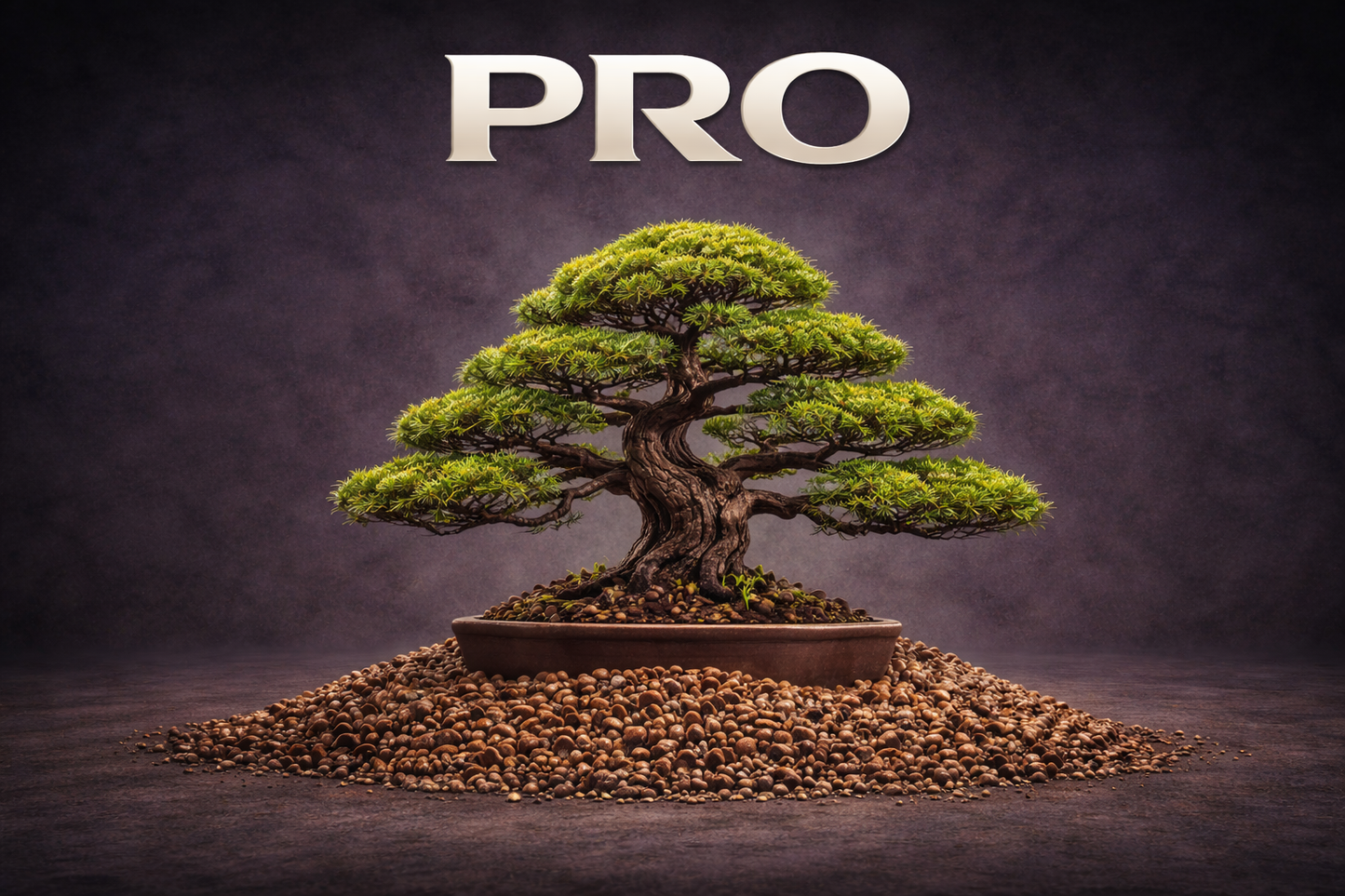 PRO CB® TERRICCIO SUBSTRATO PER BONSAI PROFESSIONALE