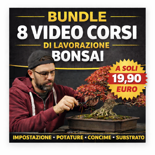 Bundle 8 Video Corsi di Lavorazione Bonsai