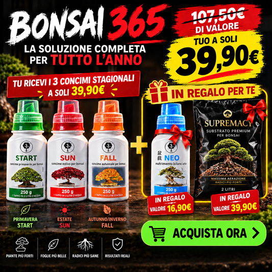 BONSAI 365