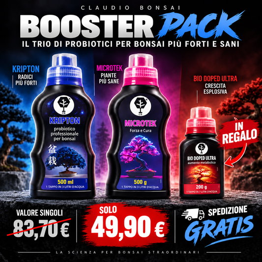 BOOSTER PACK