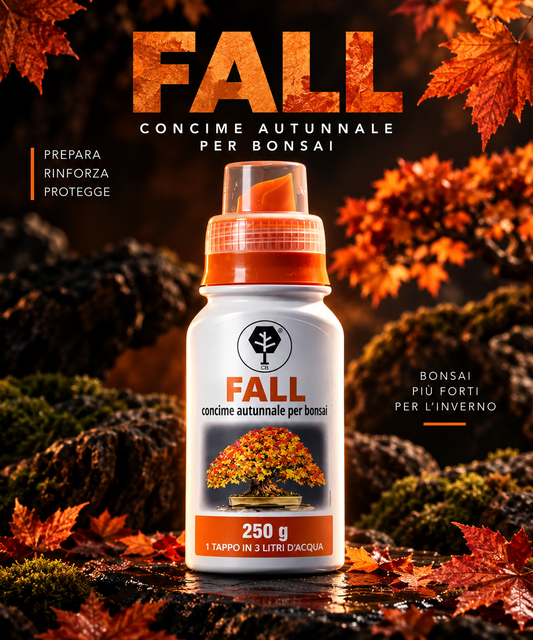 FALL CONCIME AUTUNNALE BONSAI CB®