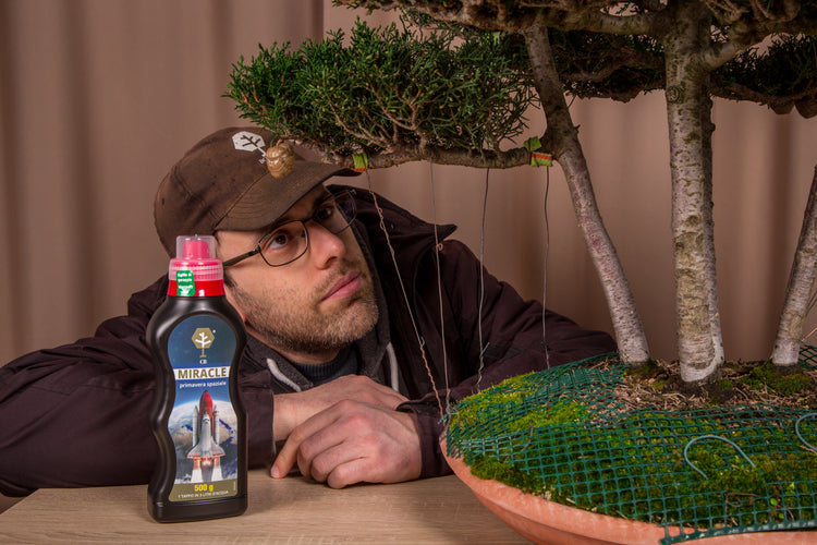 CLAUDIO BONSAI STORE®