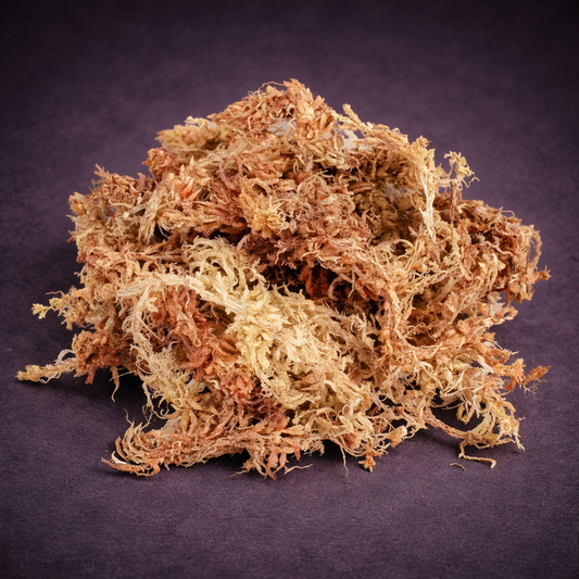 SFAGNO TOP QUALITY CB®