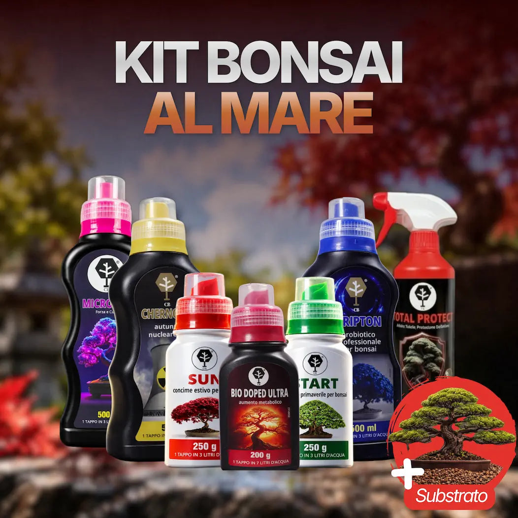 KIT BONSAI AL MARE