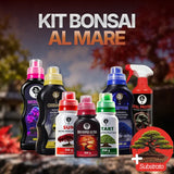 Kit Bonsai al Mare