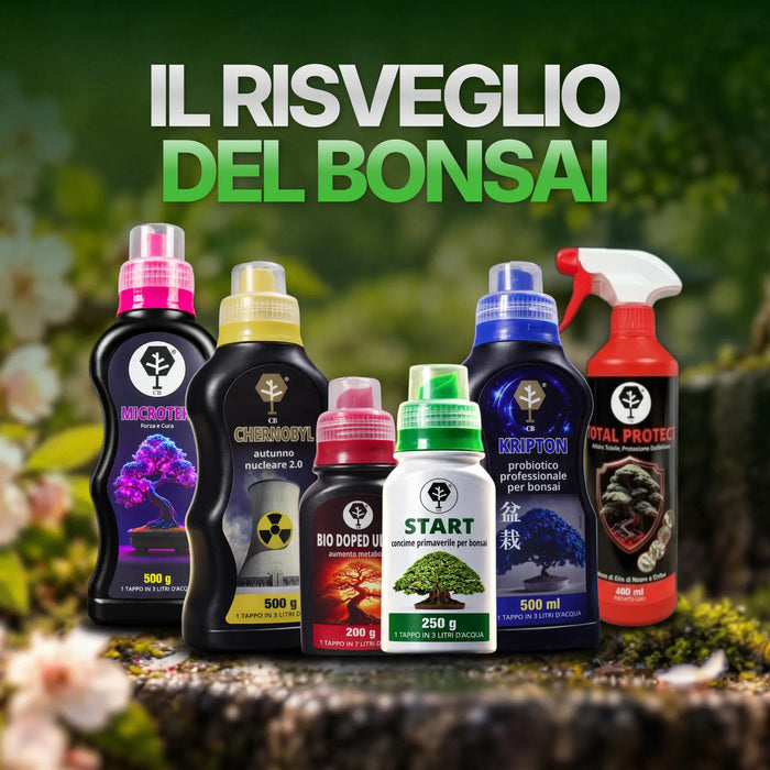 Kit Risveglio del Bonsai