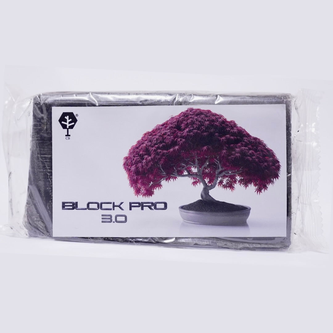 BLOCK PRO 3.0 CB® MASTICE PROFESSIONALE PER BONSAI 400 gr