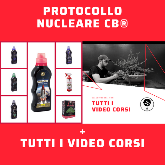 PROTOCOLLO NUCLEARE CB® + TUTTI I VIDEO CORSI